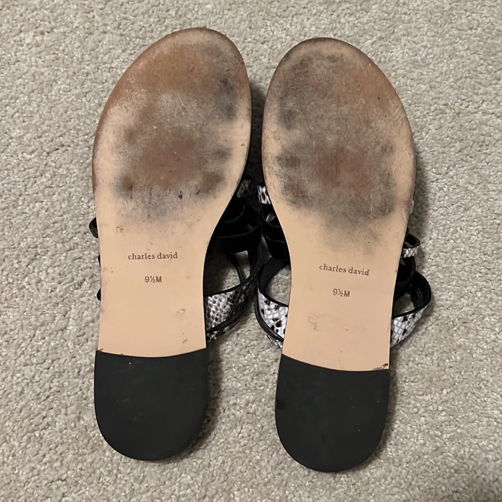 Charles David Source Sandal - Picture 10 of 10
